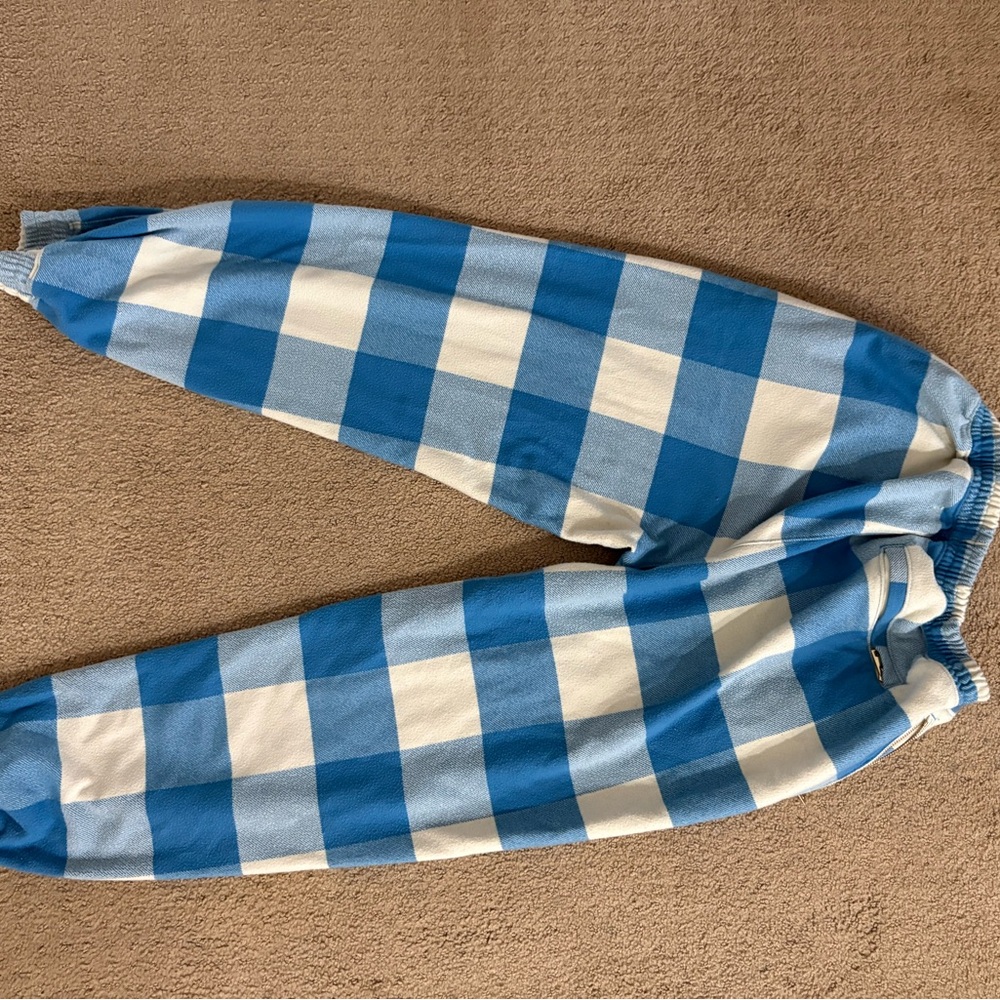 Aviator Nation Blue and White Check Jogger Pants - Picture 3 of 4